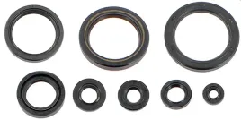 athena-komplet-zestaw-uszczelniaczy-silnikowych-honda-crf-450r-rx-21-23