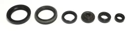 athena-komplet-zestaw-uszczelniaczy-silnikowych-suzuki-rmz-450-05-07