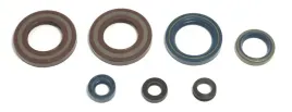 athena-komplet-zestaw-uszczelniaczy-silnikowych-ktm-lc4-350-400-60087-94