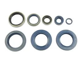 athena-komplet-zestaw-uszczelniaczy-silnikowych-ktm-lc4-625-640-66003-07