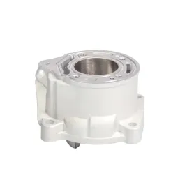 promx-2024-05-cylinder-ktm-sx-65-09-23-husqvarna-tc-65-17-23-gas-ga