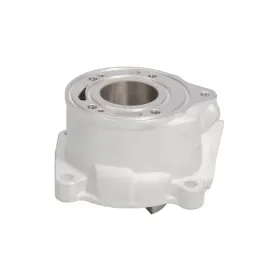 promx-2024-05-cylinder-ktm-sx-50-09-23-husqvarna-tc-50-17-23-gas-ga