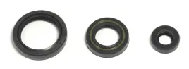 athena-komplet-zestaw-uszczelniaczy-silnikowych-husqvarna-te-tc-250-10-14