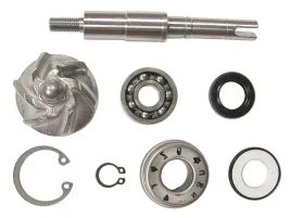 v-parts-vicma-zestaw-naprawczy-pompy-wody-honda-fes-125-pantheon-ses-125