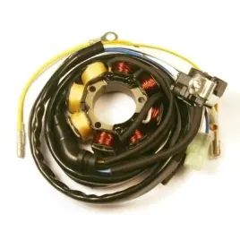 electrosport-uzwojenie-alternatora-stator-ze-swiatlami-honda-crf-250r-04