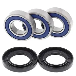 all-balls-lozyska-kola-tylnego-z-uszczelniaczami-yamaha-ttr-250-99-06