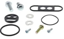 all-balls-zestaw-naprawczy-kranika-yamaha-xt-250-08-12