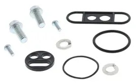 all-balls-zestaw-naprawczy-kranika-yamaha-ttr110-08-13-ttr50-06-18-wrf250
