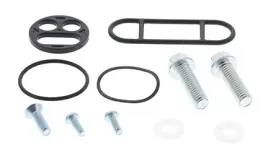 all-balls-zestaw-naprawczy-kranika-kawasaki-zx7r-96-03-zx7rr-96-97