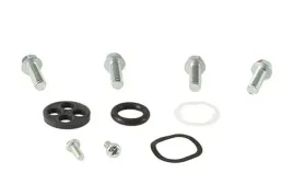 all-balls-zestaw-naprawczy-kranika-honda-crf450r-02-08