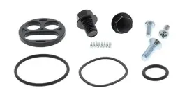 all-balls-zestaw-naprawczy-kranika-kawasaki-zzr600-03-05-zx-6-93-01