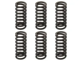 psychic-sprezyny-sprzeglowe-ktm-exc-250-racing-02-05-exc-f-250-03-04