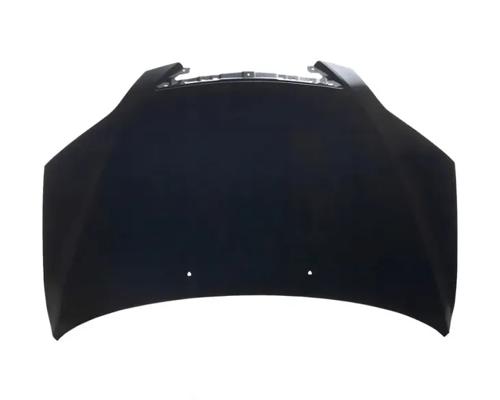 buzzetti-vicma-tester-cewek-19600-producent-czesci-polcar