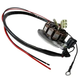 electrex-uzwojenie-alternatora-stator-kpl-z-regulatorem-napiecia-ktm-gas-g