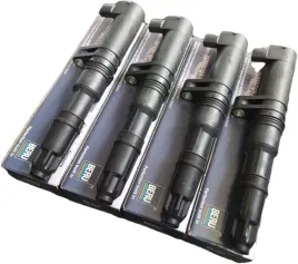 4x-beru-cewka-zaplonowa-do-renault-megane-ii-scenic-ii-1-4-1-6-2-0