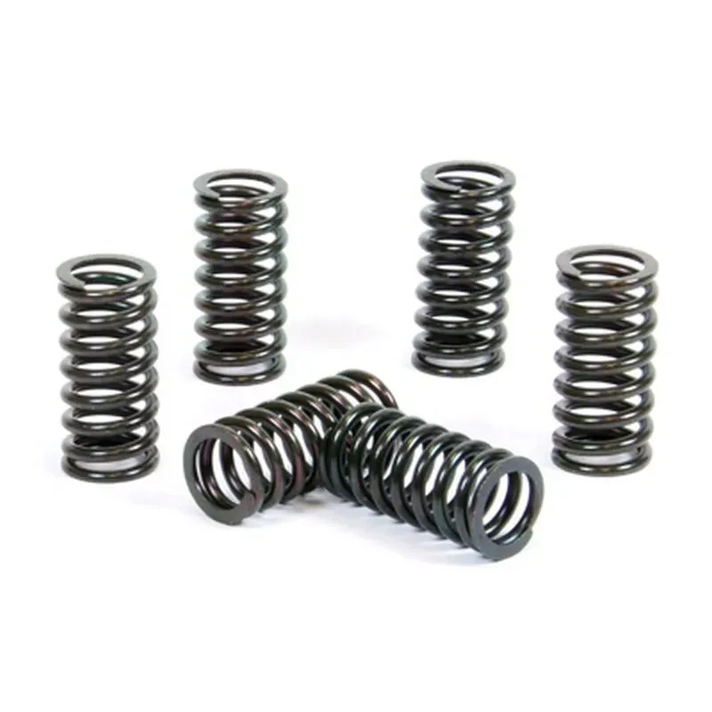 prox-sprezyny-sprzeglowe-suzuki-rm-250-98-05-ebs091