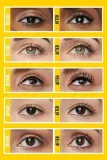 maybelline-colossal-curl-bounce-mascara-10ml-szczoteczka-silikonowa