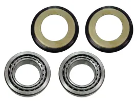 psychic-lozyska-glowki-ramy-z-uszczelniaczami-suzuki-drz-125l-03-08-rm-1