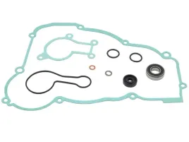 psychic-zestaw-naprawczy-pompy-wody-beta-250-300rr-13-23-300-x-trainer