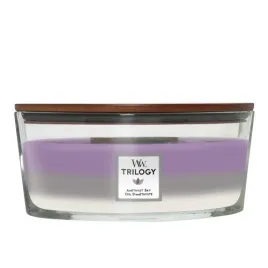 woodwick-hearthwick-trilogy-swieca-w-sloiku-elipsa-amethyst-sky-453g