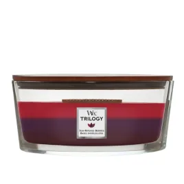 woodwick-hearthwick-trilogy-swieca-w-sloiku-elipsa-sun-ripened-berries-453g