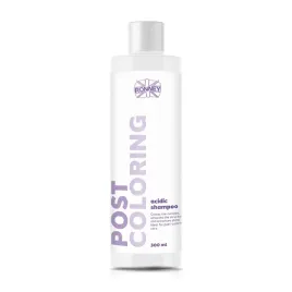 ronney-professional-post-coloring-szampon-do-wlosow-zakwaszajacy-300ml