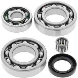 all-balls-zestaw-naprawczy-dyferencjalu-tylnego-kawasaki-klf220-bayou-88-