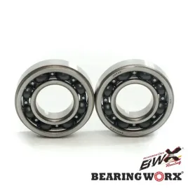 bearing-worx-lozyska-walu-korbowego-gas-gas-ec-250-4t-10-12-ec-250f-13