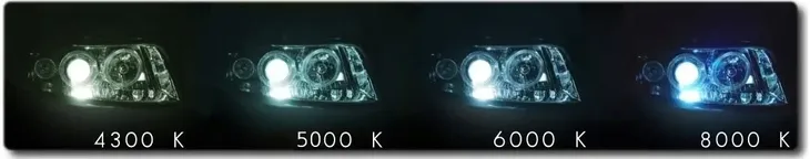 zarnik-d4s-vision-5000-k-liczba-sztuk-1-szt