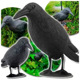 odstraszacz-ptakow-kruk-duzy-golebi-szpakow-na-balkon-ogrodowy-ptaki