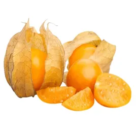 rodzynek-brazylijski-miechunka-jagoda-inkaska-ozdobna-jadalna-owoce-nasiona