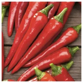 papryka-czerwona-ostra-chili-de-cayenne-nasiona-warzyw