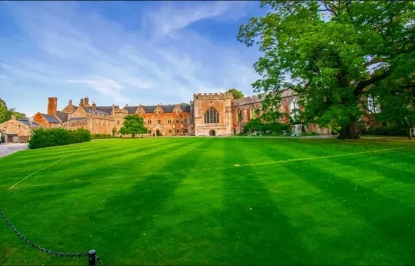 trawa-angielska-murawa-5kg