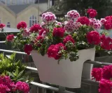 biohumus-extra-pelar-500ml-oryginalny-forma-plyn