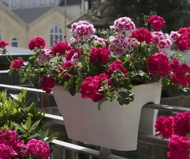 biohumus-extra-pelar-500ml-oryginalny-stan-nowy