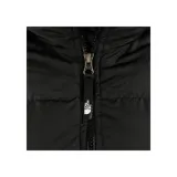 cropped-saikuru-marka-the-north-face-kod-producenta-nf0a853mjk3