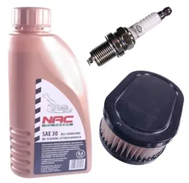 filtr-olej-swieca-do-briggs-ohv-filtr-swinka-2-otw