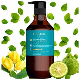szampon-do-wlosow-oczyszczajacy-theorie-sage-sea-kelpandmint-z-keratyna-400ml