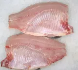 karp-krolewski-platy