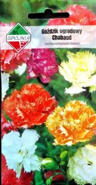 gozdzik-chabaud-05g-nasiona-kwiatow-spojnia