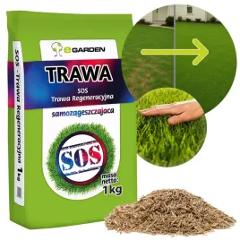 trawa-renowacyjna-regeneracyjna-sos-nasiona-trawy-na-dosiewke-1kg-40m2