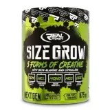 size-grow-kiwi-cactus-rodzaj-stak-kreatynowy