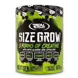 size-grow-kiwi-cactus-smak-kiwi