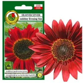 slonecznik-ozdobny-czerwono-brazowy-duze-liscie-nasiona-2g