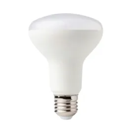 eco-light-zarowka-led-e27-4000k-1080lm-12w-barwa-biala-neutralna-grzyb