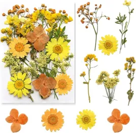 naturalne-suszone-prasowane-kwiaty-mieszanka-suszone-liscie-zywicy-diy-18el