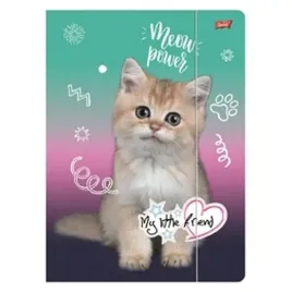 teczka-z-gumka-a4-my-litte-friend-kotek-kitty-party-st-majewski