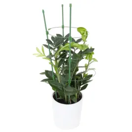 podpora-do-kwiatow-roslin-lodyg-podporka-metalowa-45cm-roz-hortensji