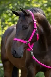 kantar-dla-konia-hippo-rozowy-xfull-covalliero