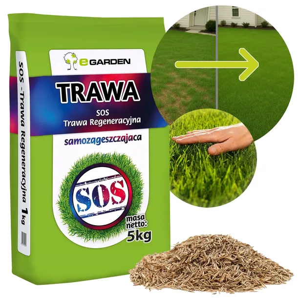 Trawa Renowacyjna, Regeneracyjna SOS Nasiona Trawy na Dosiewkę - 5kg 200m2